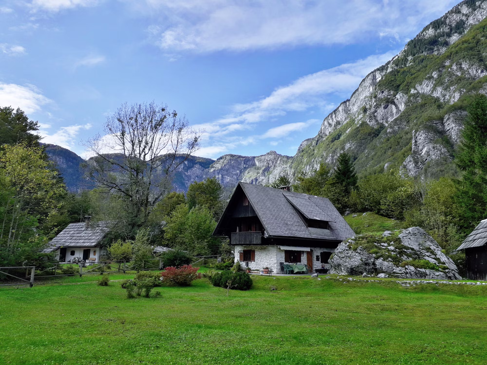 Sustainable Living: How Eco-Friendly Homes are Changing the Housing Market